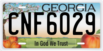 GA license plate CNF6029