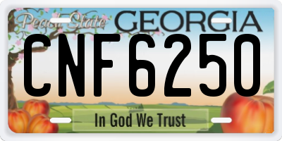 GA license plate CNF6250