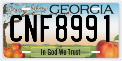 GA license plate CNF8991