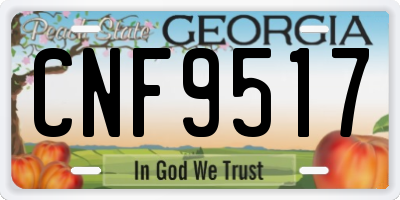 GA license plate CNF9517