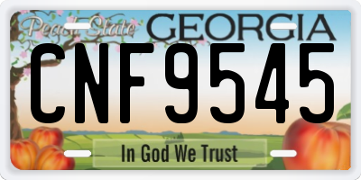 GA license plate CNF9545