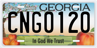 GA license plate CNG0120