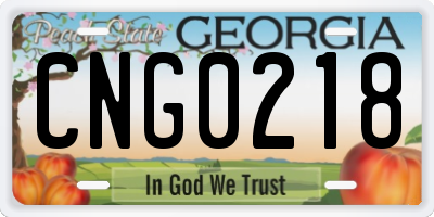 GA license plate CNG0218