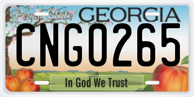 GA license plate CNG0265