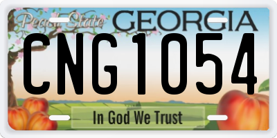 GA license plate CNG1054