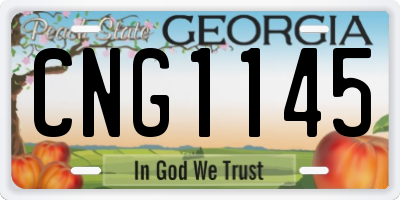 GA license plate CNG1145