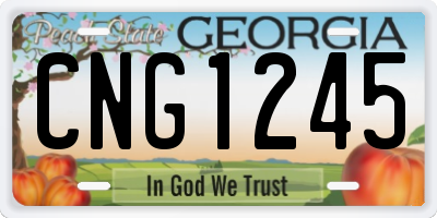 GA license plate CNG1245