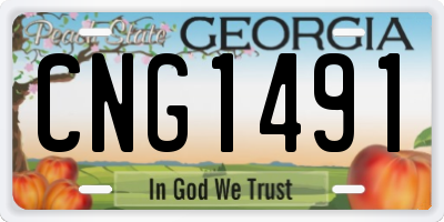 GA license plate CNG1491