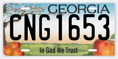 GA license plate CNG1653