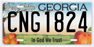 GA license plate CNG1824