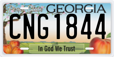 GA license plate CNG1844