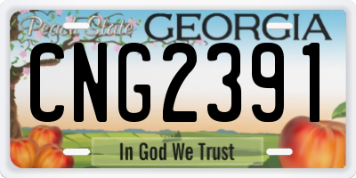GA license plate CNG2391