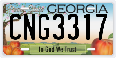 GA license plate CNG3317