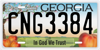 GA license plate CNG3384