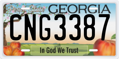 GA license plate CNG3387