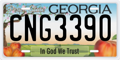 GA license plate CNG3390