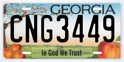 GA license plate CNG3449