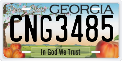 GA license plate CNG3485