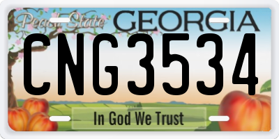 GA license plate CNG3534
