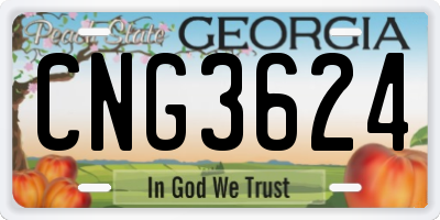 GA license plate CNG3624