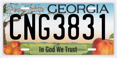 GA license plate CNG3831