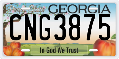 GA license plate CNG3875