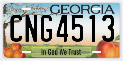GA license plate CNG4513