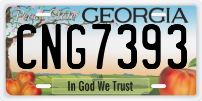 GA license plate CNG7393