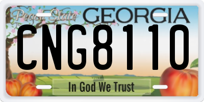 GA license plate CNG8110