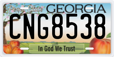 GA license plate CNG8538