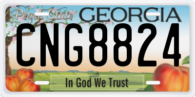 GA license plate CNG8824
