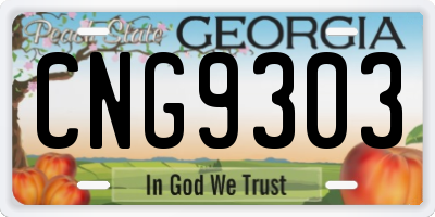 GA license plate CNG9303