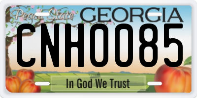GA license plate CNH0085