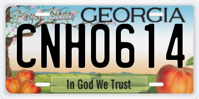 GA license plate CNH0614