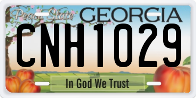 GA license plate CNH1029