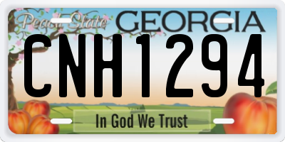 GA license plate CNH1294