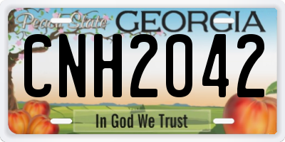 GA license plate CNH2042