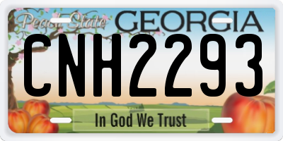 GA license plate CNH2293