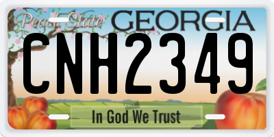 GA license plate CNH2349
