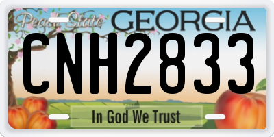 GA license plate CNH2833