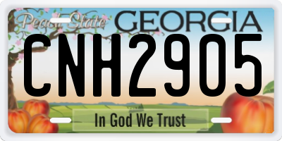 GA license plate CNH2905