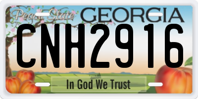GA license plate CNH2916