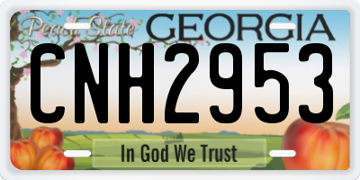 GA license plate CNH2953