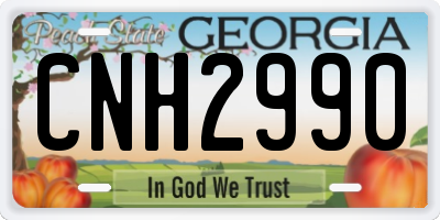 GA license plate CNH2990