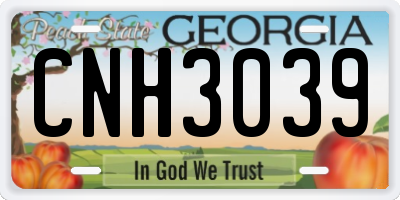GA license plate CNH3039
