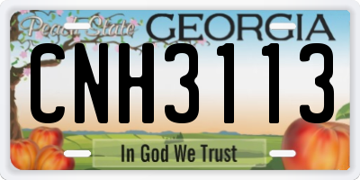 GA license plate CNH3113