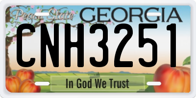 GA license plate CNH3251