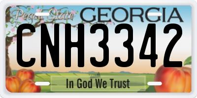 GA license plate CNH3342
