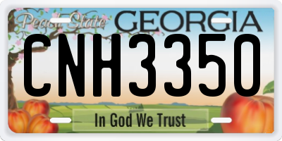 GA license plate CNH3350