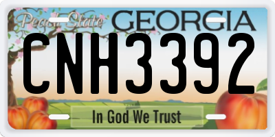 GA license plate CNH3392